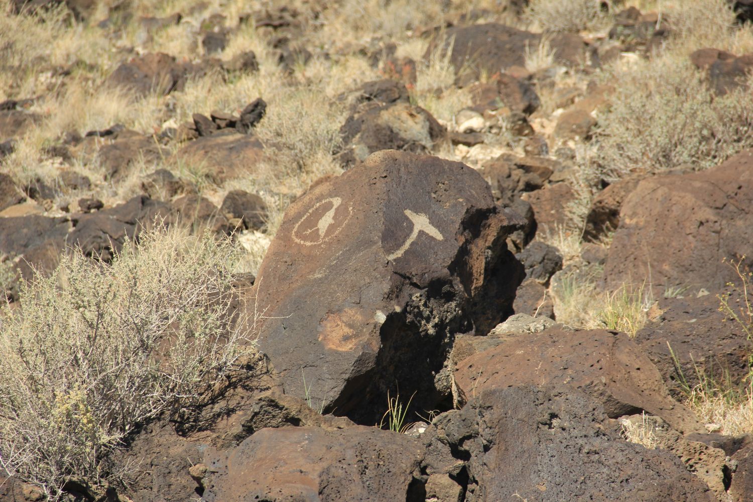 Petroglyph National Monument 